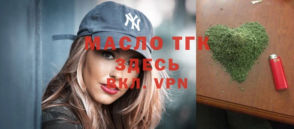 мдпв Богородск