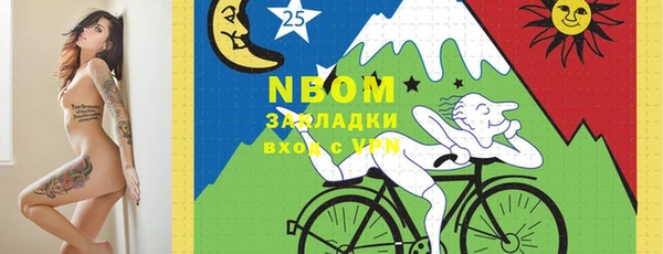 mdpv Богородицк