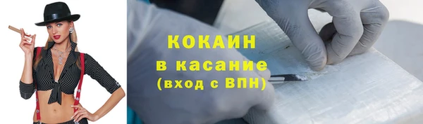 мдпв Богородск