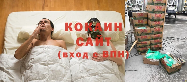 mdpv Богородицк