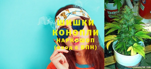 мдпв Богородск