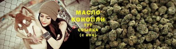 мдпв Богородск